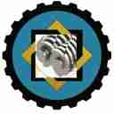 شرکت تینو آروین خلاق، تولید و فروش قطعات و دستگاه های صنعتی در اصفهان